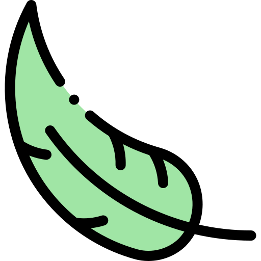 Feather icon