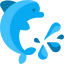 Dolphin icon 64x64