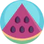 Watermelon 图标 64x64