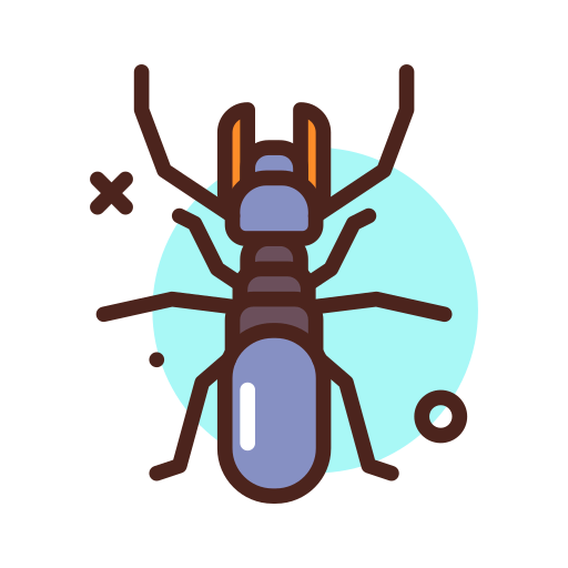 Bug 상