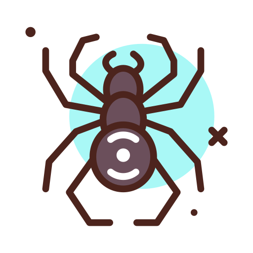 Spider icon