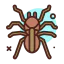 Tarantula icon 64x64