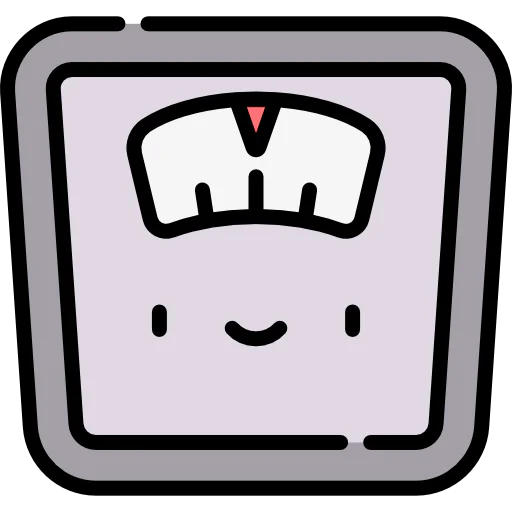 Scale icon