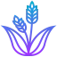 Wheat icon 64x64