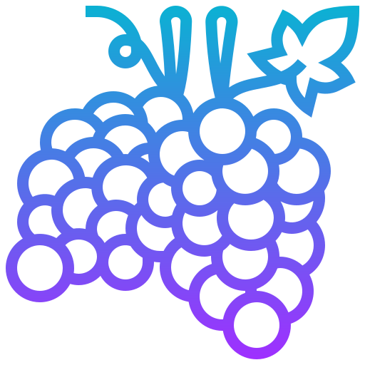 Grapes 상