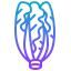 Lettuce icon 64x64