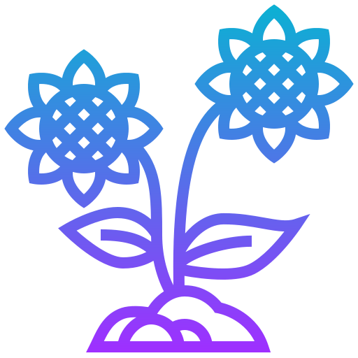 Sunflower icon