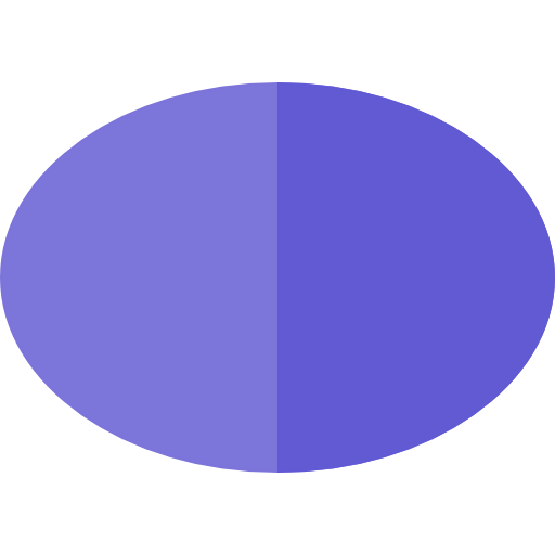 Ellipse icon