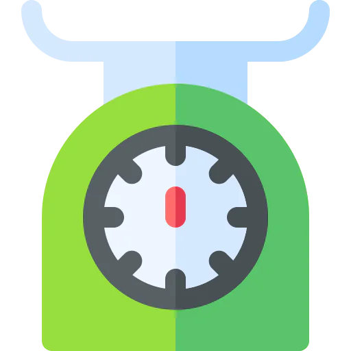 Scale icon