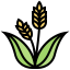 Wheat 상 64x64