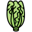 Lettuce 图标 64x64