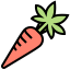 Carrot 图标 64x64