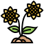 Sunflower 图标 64x64