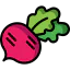 Radish icon 64x64