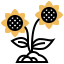 Sunflower 图标 64x64