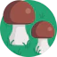 Mushrooms icon 64x64
