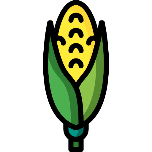 Corn icon