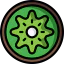 Kiwi icon 64x64