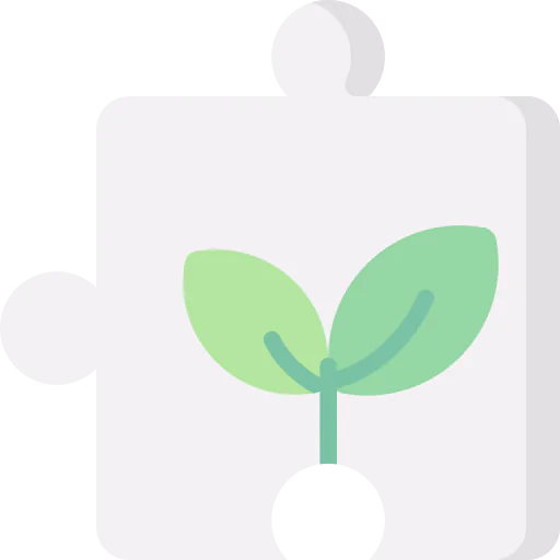 Solution icon