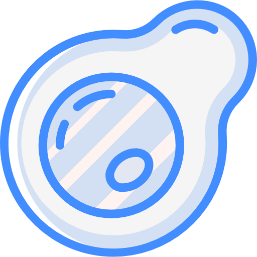 Fried egg icon