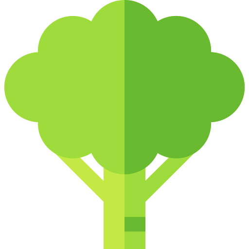 Broccoli icon