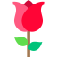 Rose icon 64x64