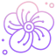 Flower icon 64x64