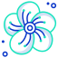 Flower icon 64x64