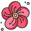 Flower icon 64x64