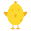 Chick icon 64x64