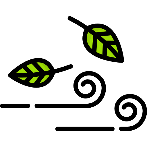 Wind icon
