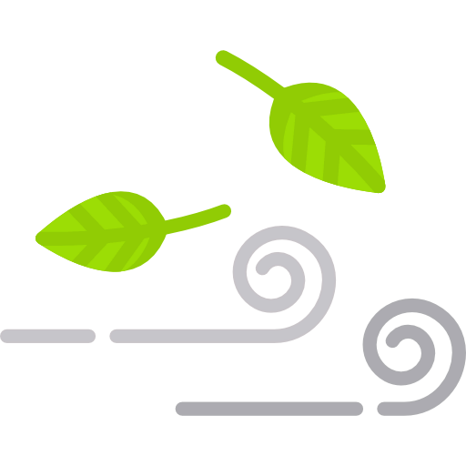 Wind icon