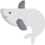 Whale icon 64x64