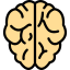 Brain 图标 64x64