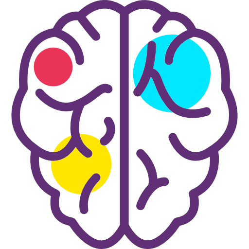 Brain 상