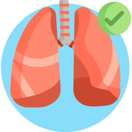 Lung icon