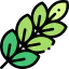 Leaves 图标 64x64