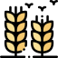 Rice 图标 64x64