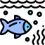 Fish 图标 64x64