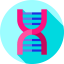 Dna 图标 64x64