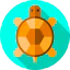 Tortoise ícone 64x64