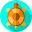 Tortoise ícono 64x64
