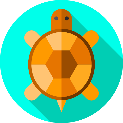 Tortoise icon