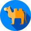 Camel ícono 64x64