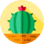 Cactus ícono 64x64