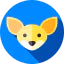 Fennec ícono 64x64
