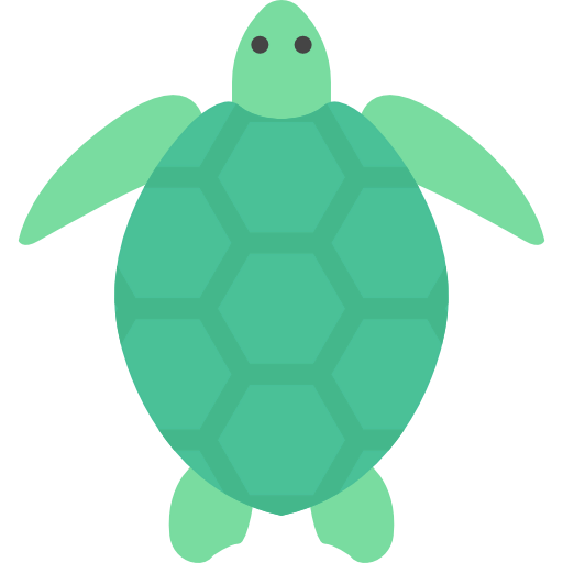 Turtle icon