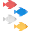 Fish Ikona 64x64