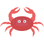 Crab Ikona 64x64