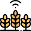 Wheat icon 64x64